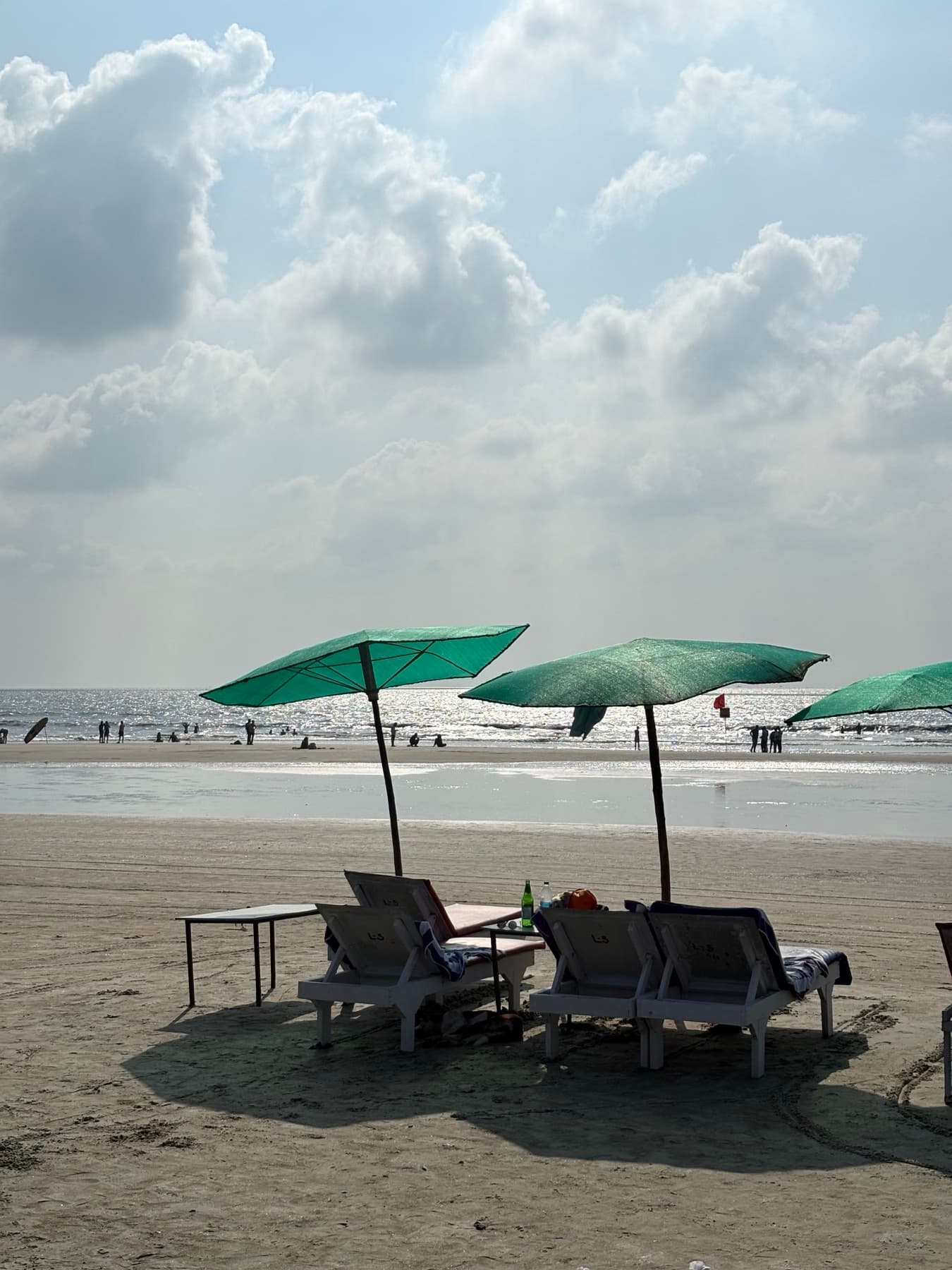 Green beach umbrellas and empty loungers facing a silver afternoon sea.
