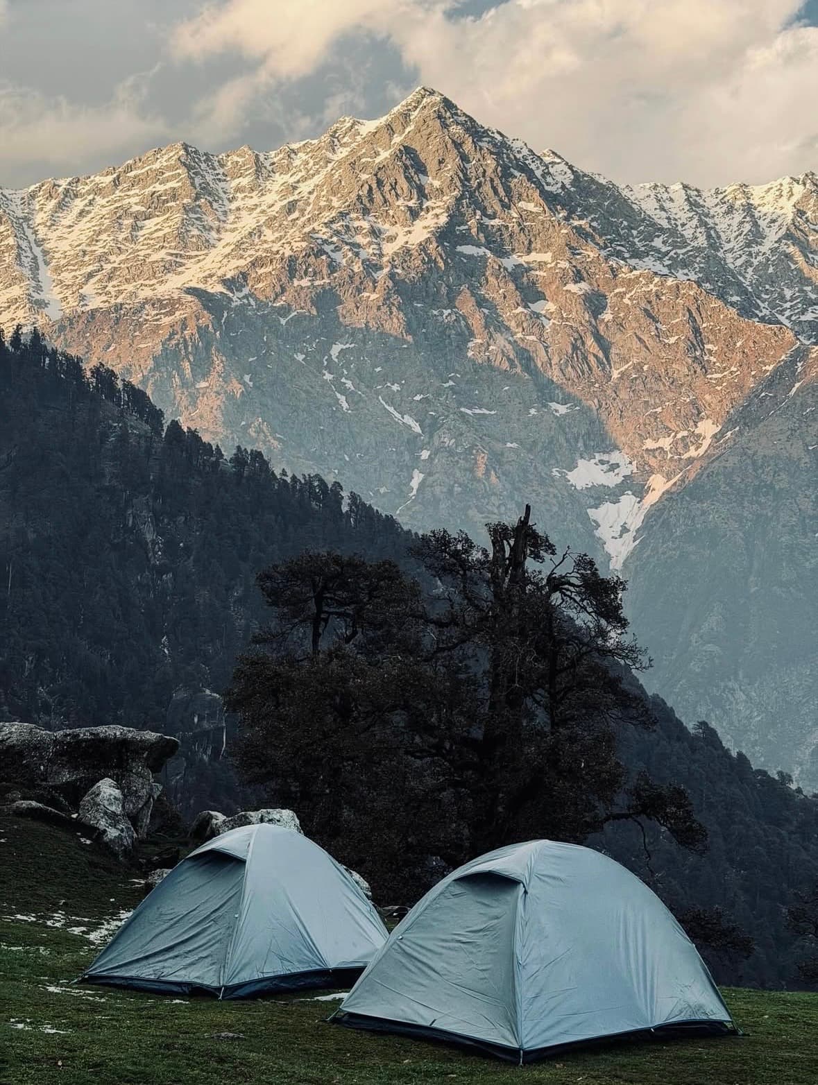 Two tents pitched on a grassy ridge below a snow-covered mountain wall at last light.