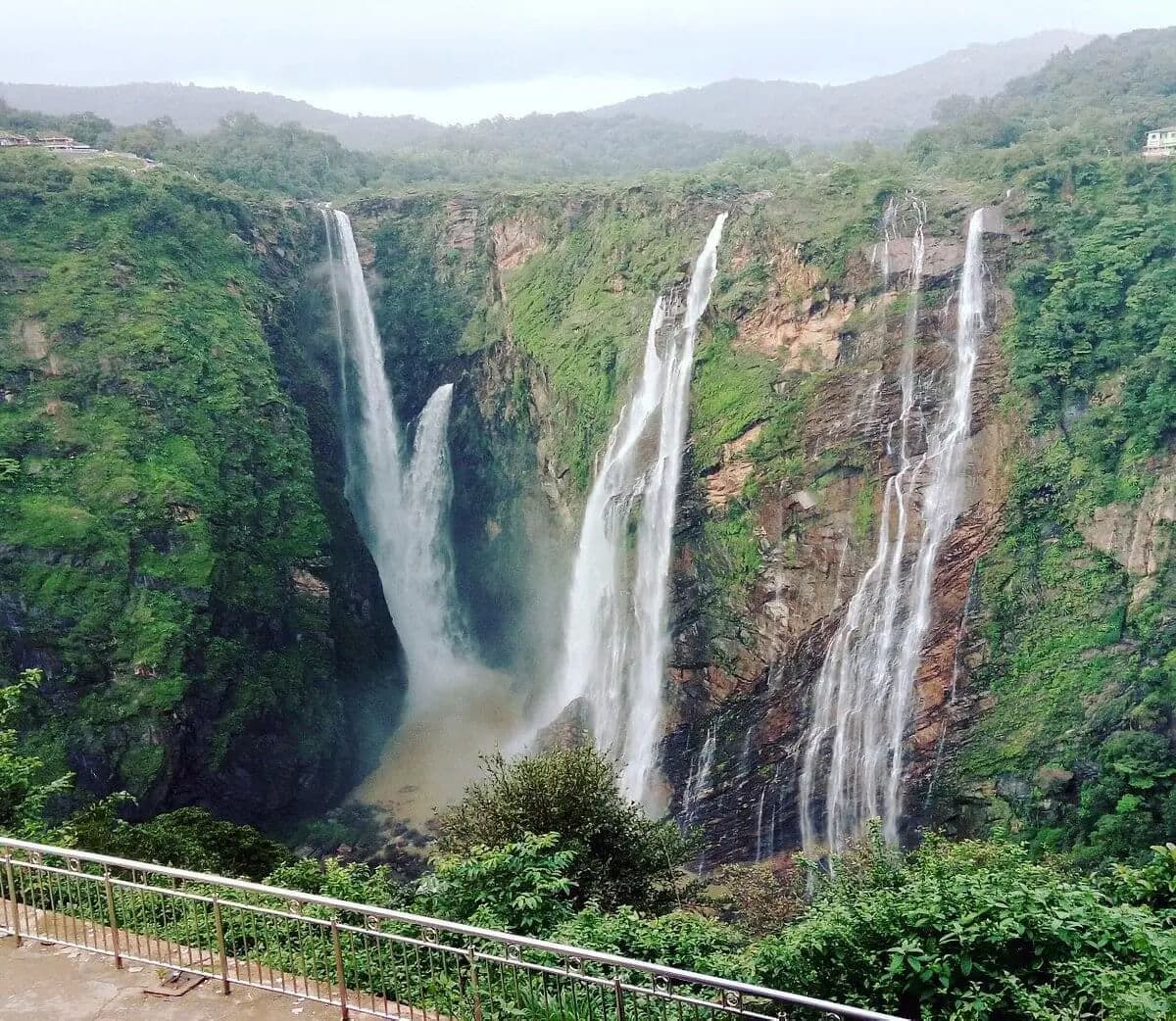 Jog Falls in full flow, four separate falls dropping into a green gorge.
