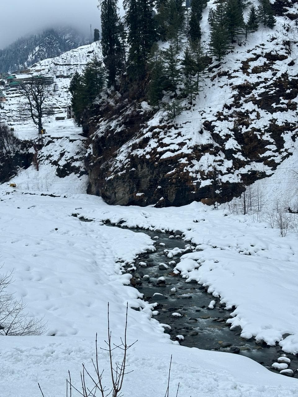 A stream cutting through deep snow on a pine-covered hillside.